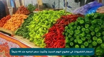أسعار الخضروات في مطروح اليوم السبت وتثبيت سعر البامية عند 40 جنيهاً